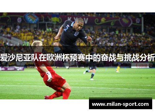 爱沙尼亚队在欧洲杯预赛中的奋战与挑战分析